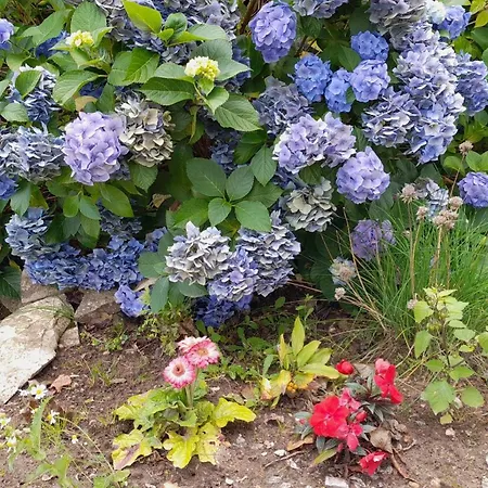 Дом отдыха Augettes Bergerie *