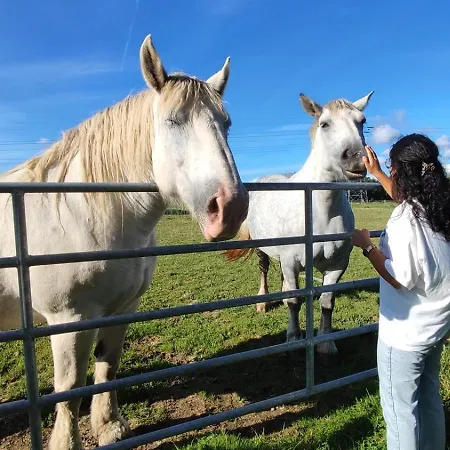 Augettes Bergerie * Saint-Hymer