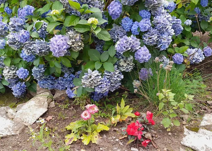 Casa de Férias Augettes Bergerie *