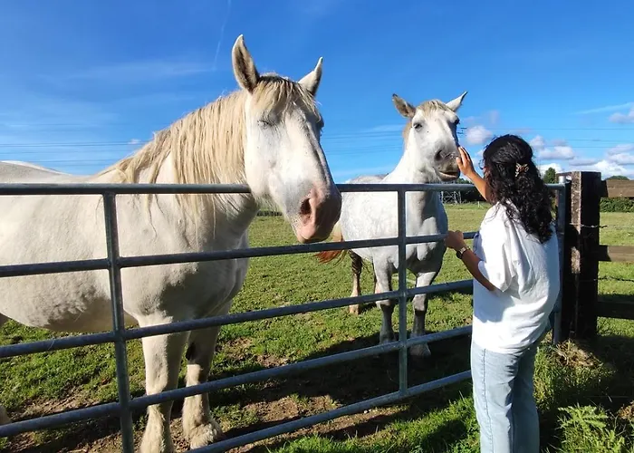 Augettes Bergerie * Saint-Hymer