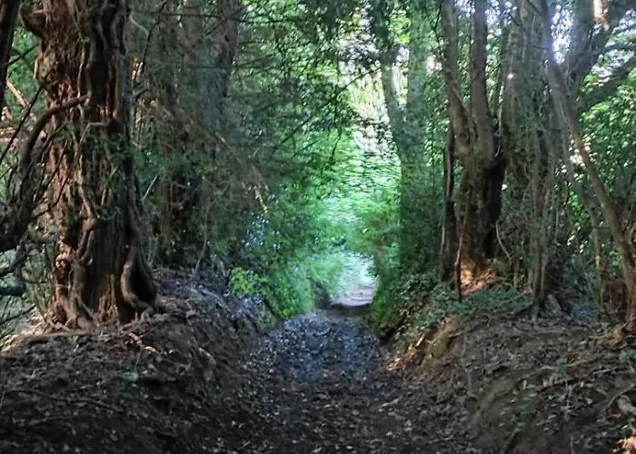 Augettes Bergerie Casa de Férias *