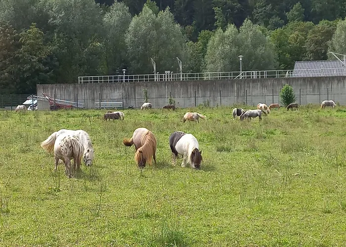 Casa de Férias Augettes Bergerie
